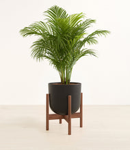 Load image into Gallery viewer, Stone Black stand:walnut