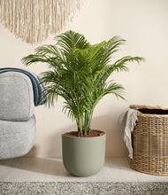 Load image into Gallery viewer, Sage Green