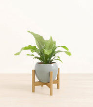 Load image into Gallery viewer, Deep Ocean stand:bamboo