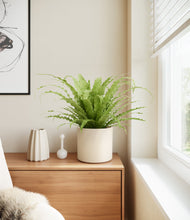 Load image into Gallery viewer, Cream stand:all