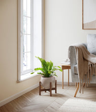 Load image into Gallery viewer, Winter Clouds stand:walnut