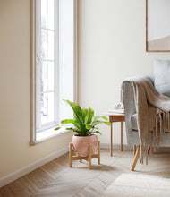 Load image into Gallery viewer, Calm Rose stand:bamboo