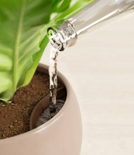 Load image into Gallery viewer, Woodland stand:all