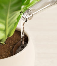 Load image into Gallery viewer, Sandy stand:all