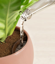 Load image into Gallery viewer, Evening Sky stand:all