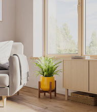 Load image into Gallery viewer, Mustard stand:walnut