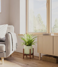 Load image into Gallery viewer, Turquoise stand:walnut