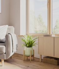 Load image into Gallery viewer, Turquoise stand:bamboo