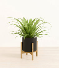 Load image into Gallery viewer, Black stand:bamboo