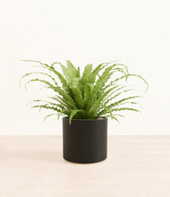 Load image into Gallery viewer, Black*****Profile