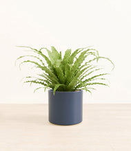 Load image into Gallery viewer, Deep Navy*****Profile