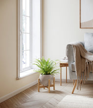 Load image into Gallery viewer, Winter Clouds stand:bamboo