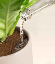 Load image into Gallery viewer, Earthy stand:all