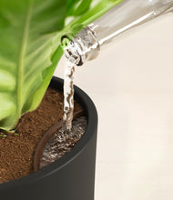 Load image into Gallery viewer, Charcoal