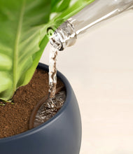 Load image into Gallery viewer, Eclipse