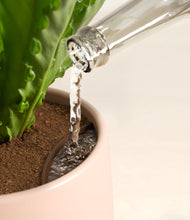 Load image into Gallery viewer, Gentle Pink stand:all