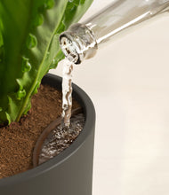 Load image into Gallery viewer, Dark Olive