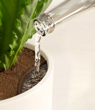 Load image into Gallery viewer, Cream