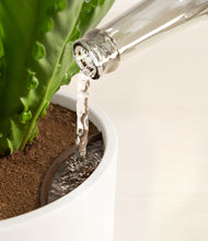 Load image into Gallery viewer, White