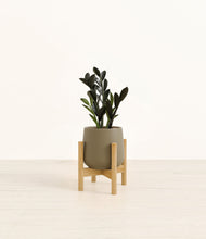 Load image into Gallery viewer, Olive stand:bamboo