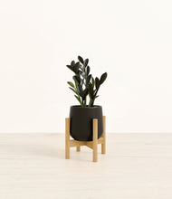 Load image into Gallery viewer, Black stand:bamboo