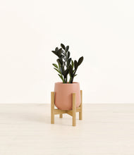 Load image into Gallery viewer, Calm Rose stand:bamboo