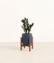 Load image into Gallery viewer, Deep Navy stand:walnut