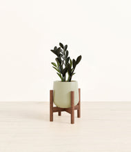 Load image into Gallery viewer, Turquoise stand:walnut