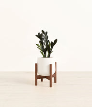 Load image into Gallery viewer, White stand:walnut