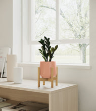 Load image into Gallery viewer, Calm Rose stand:bamboo