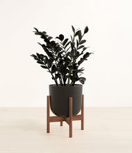 Load image into Gallery viewer, Stone Black stand:walnut