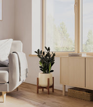 Load image into Gallery viewer, Almond Green stand:walnut