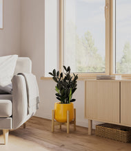 Load image into Gallery viewer, Mustard stand:bamboo