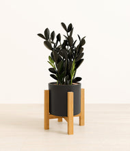 Load image into Gallery viewer, Black stand:light