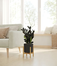 Load image into Gallery viewer, Black stand:bamboo