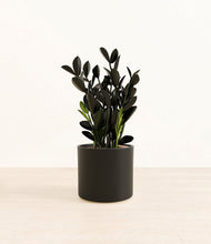 Load image into Gallery viewer, Black*****Profile