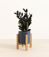 Load image into Gallery viewer, Deep Navy stand:light