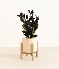 Load image into Gallery viewer, Cream stand:bamboo