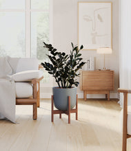 Load image into Gallery viewer, Iron Gray stand:walnut