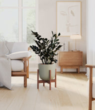 Load image into Gallery viewer, Sage Green stand:walnut