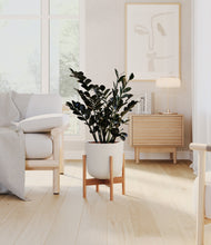 Load image into Gallery viewer, Natural Bamboo stand:bamboo