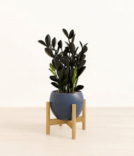 Load image into Gallery viewer, Deep Navy stand:bamboo