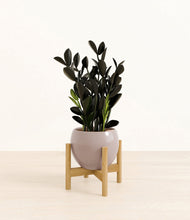 Load image into Gallery viewer, Winter Clouds stand:bamboo