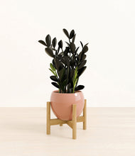 Load image into Gallery viewer, Calm Rose stand:bamboo