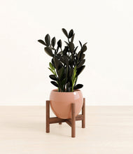 Load image into Gallery viewer, Calm Rose stand:walnut