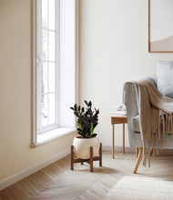 Load image into Gallery viewer, Shiny EggWhite stand:walnut