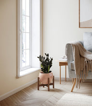 Load image into Gallery viewer, Calm Rose stand:walnut