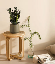 Load image into Gallery viewer, Olive