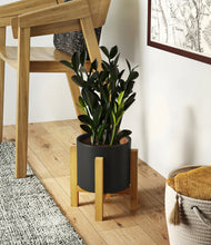 Load image into Gallery viewer, Black stand:light