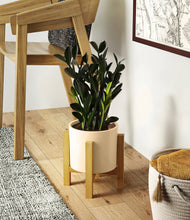 Load image into Gallery viewer, Cream stand:light